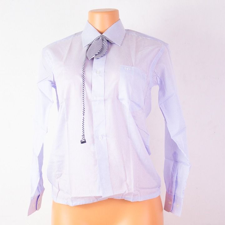 New Style Women's Shirts Blue Long Sleeve Fashion Ladies Blouses For Work Clothes Elegant Female Tops - Blouses & Shirts