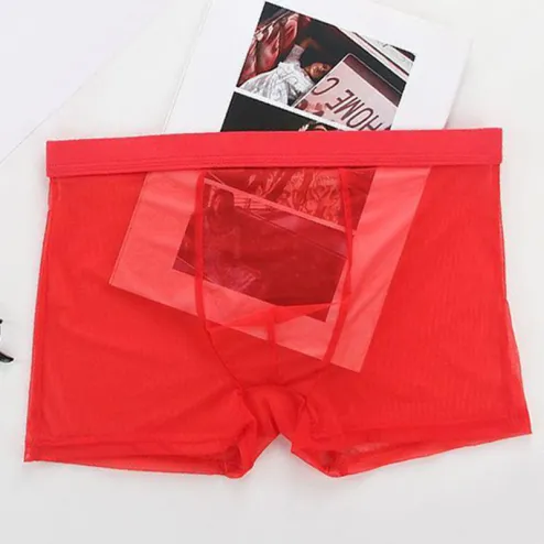 Full transparent underwear for men Sexy temptation Ultra thin mesh