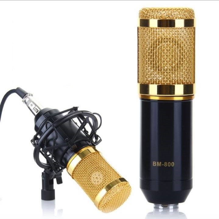 Condenser Microphone Recording Mic with Shock Mount BM-800