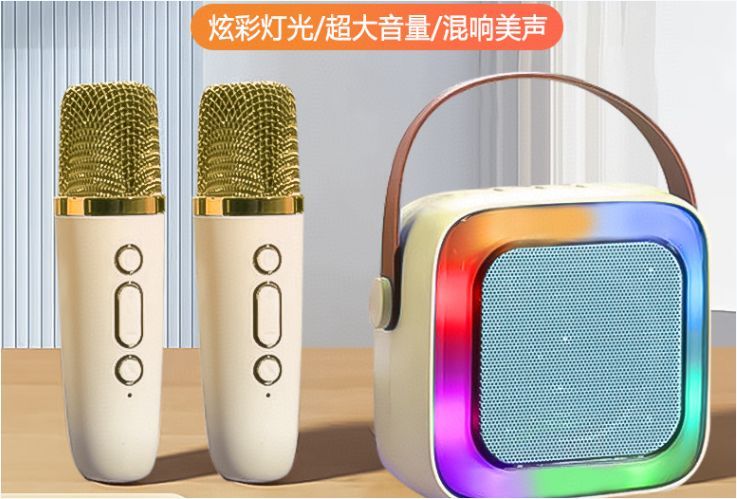 K12 Karaoke Machine Portable PA Speaker System With 2 Wireless Microphones