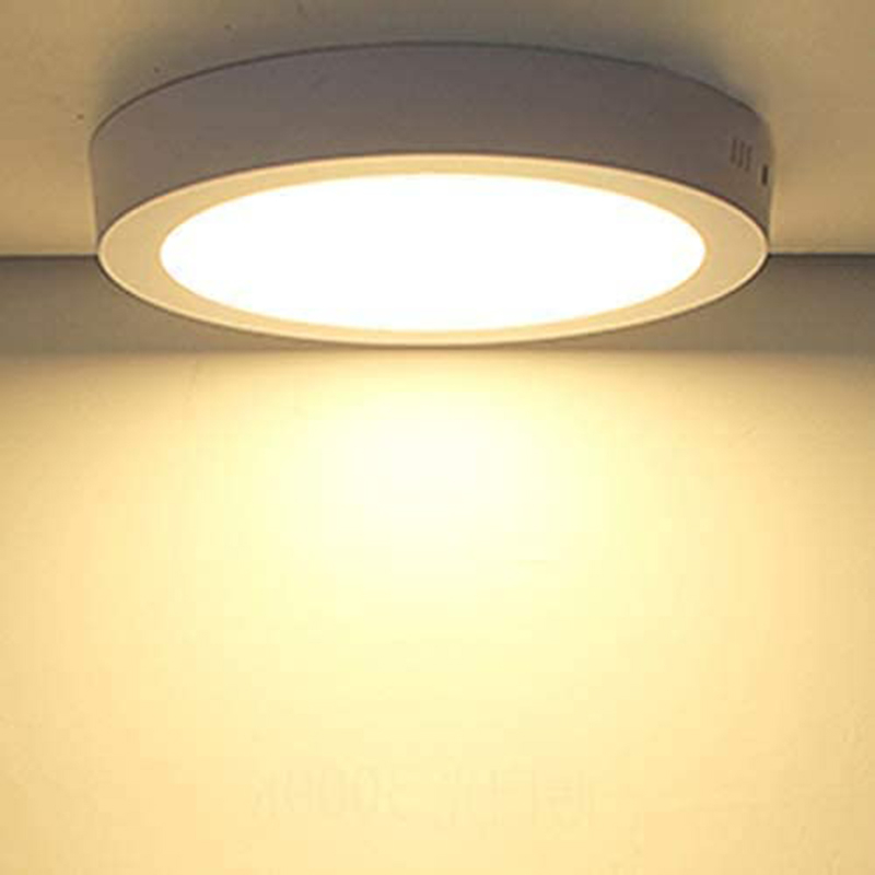 Leopard Cat LED Recessed Mount Panel Ceiling Light Fixtures - 6W 12W 18W 24W Tri-Color Dimming Flat Circular Surface Mount Downlight for Closet/Corridor/Staircase/Kitchen/Basement Lighting