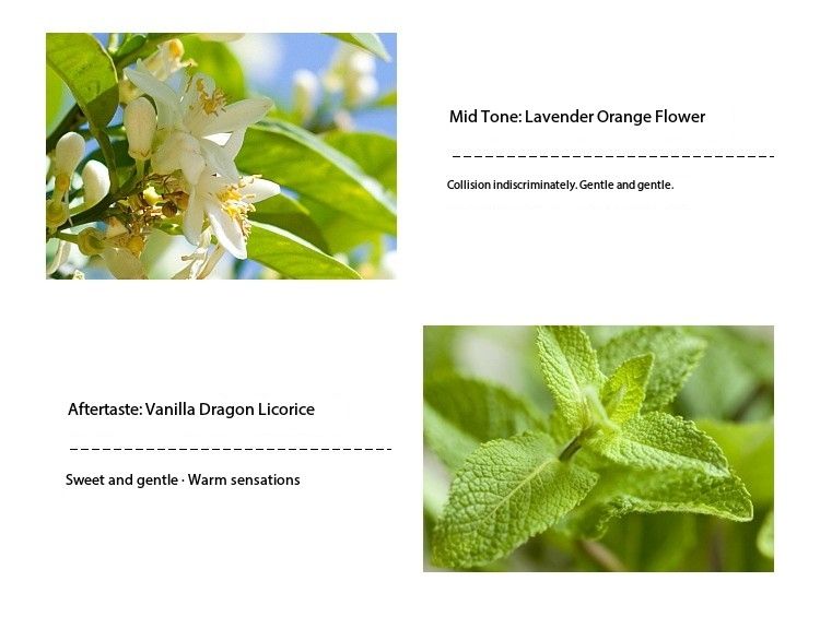 Small Town Yixiang Free Water Women's Perfume Floral Fragrance, Fresh and Long-lasting Eau de Toilette for Students