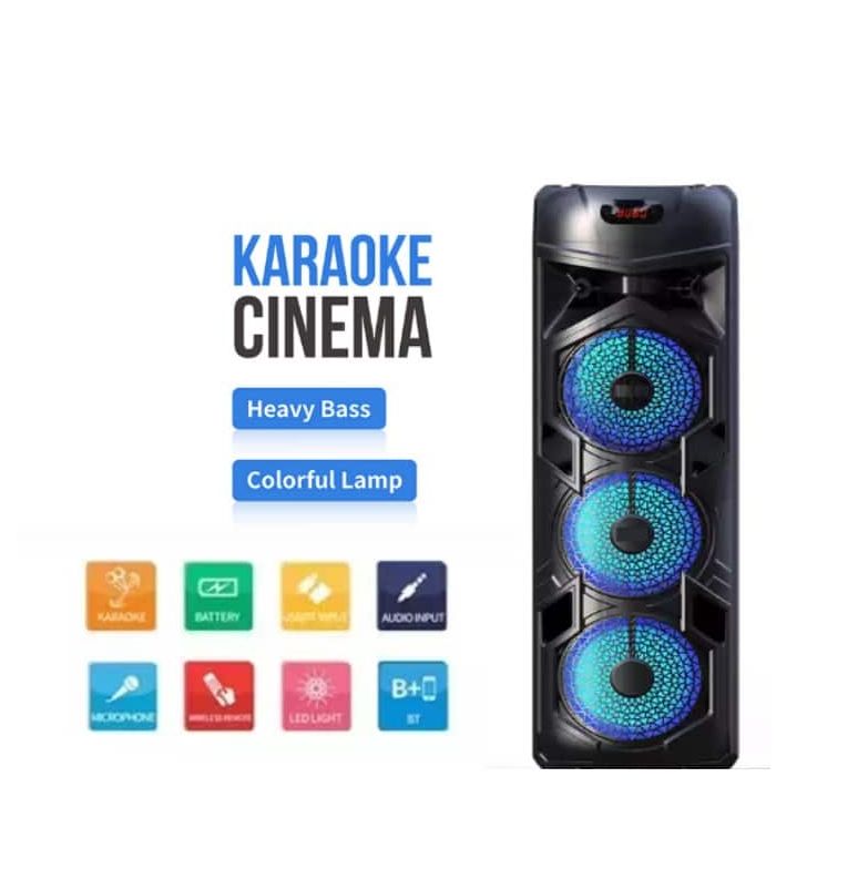 Amigool Karaoke Stereo Portable Wireless Bluetooth Speaker, Flashing LED Lights with Wireless Microphone - Immersive Audio, Built-in Amplifier, Bluetooth Connectivity, FM Radio, USB and SD Card Slot