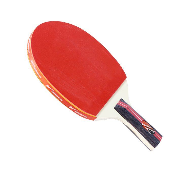 Ping Pong Paddle and Table Tennis Set LW-0329
