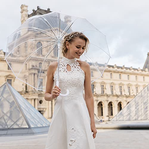 AKAKD Su Chao Korean version of the new creative umbrella pvc color red transparent umbrella fashion sunshade blocking wind umbrella straight rod long handle sunshade umbrella
