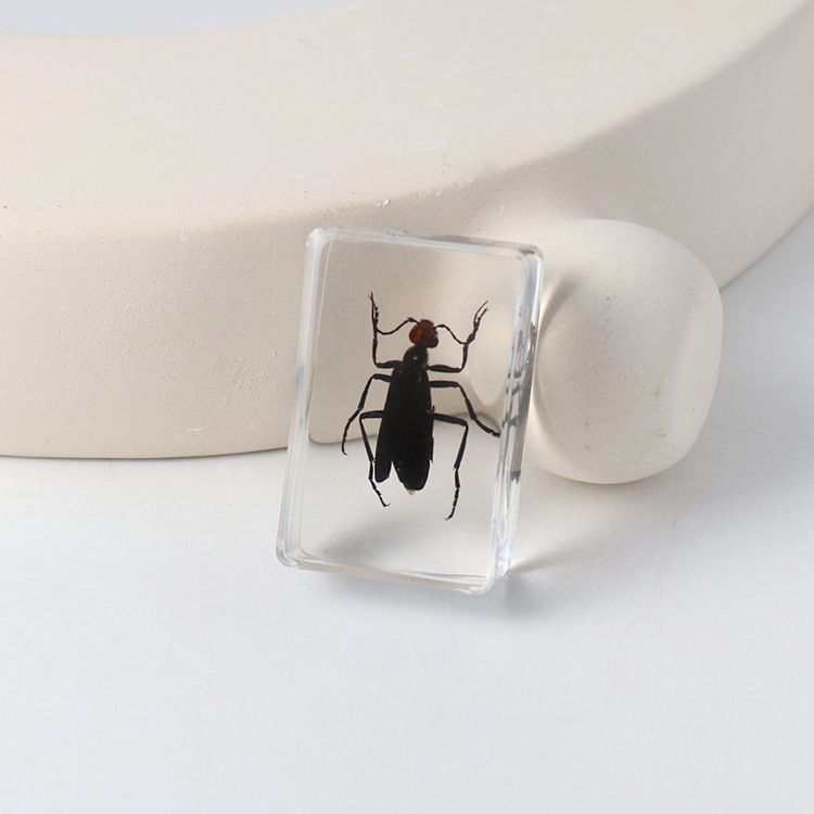 AUNONT Square Resin Insect Bookends Student Teaching Aids Taxidermy Amber Crafts Ornaments Handmade Drip Resin Insect Bookends Clear Amber Insect Taxidermy