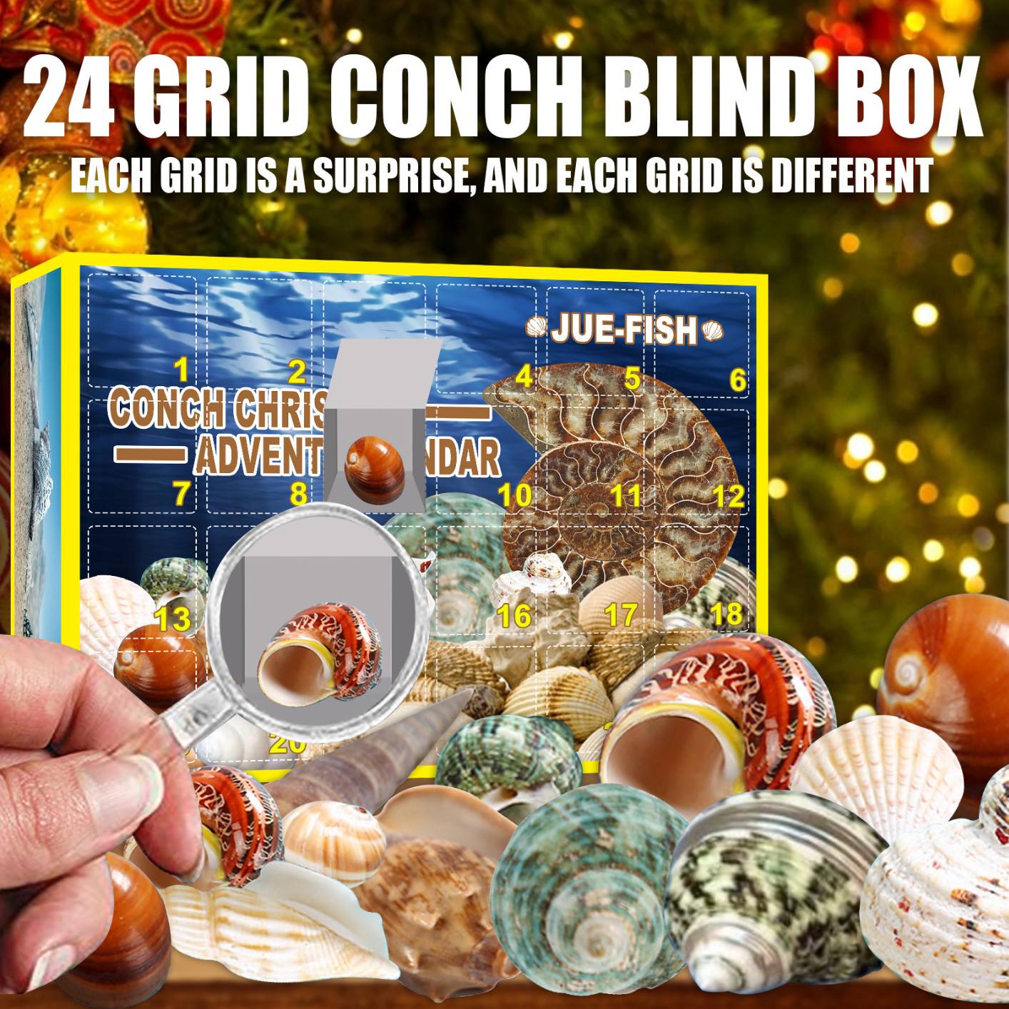 Christmas Advent Calendar, Fish Conch Blind Box 24 Days Surprise Box, Count Down Xmas Gifts for Boys Teens Adults Girls