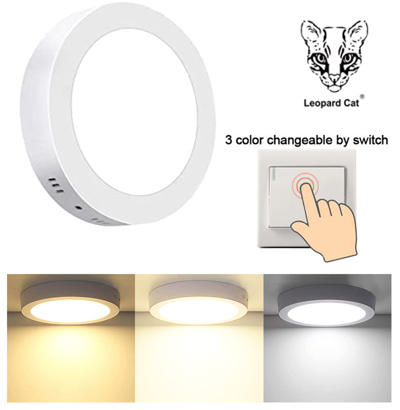Leopard Cat LED Recessed Mount Panel Ceiling Light Fixtures - 6W 12W 18W 24W Tri-Color Dimming Flat Circular Surface Mount Downlight for Closet/Corridor/Staircase/Kitchen/Basement Lighting