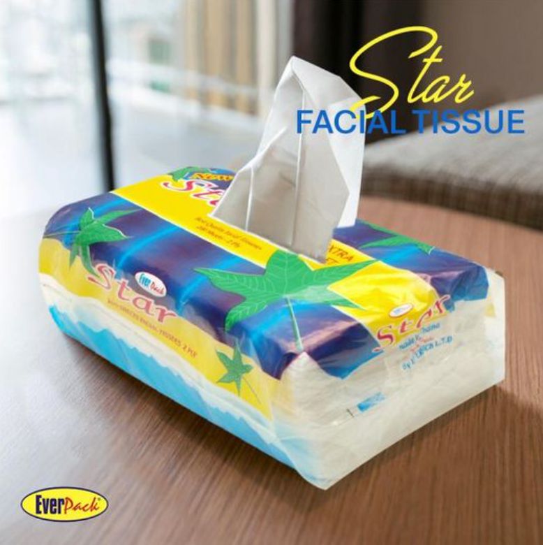Everpack Star Quality Facial Tissues - 200 Sheets - 2 ply Extra soft and absorbent disposable paper napkins