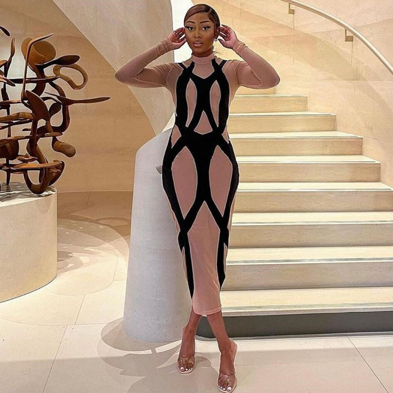 K22D13006 Women's Sexy See Through Mesh Printed Long Sleeve Long Bodycon Night Clubwear Party Dress