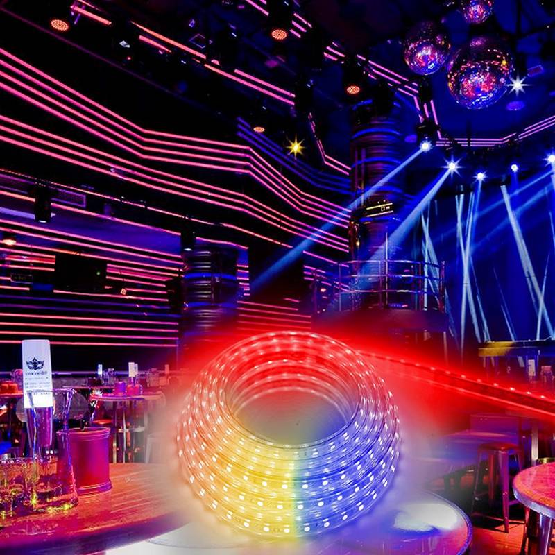 Leopard Cat Flexible 100M/volume LED RGB Rope Light Strip, Multi Color Changing 60PCS SMD 5050 LEDs, 220V AC, Dimmable, Waterproof, Indoor / Outdoor Rope Lighting + Remote Controller -100M roll IP67 Waterproof RGB Dual Color Rope lighting