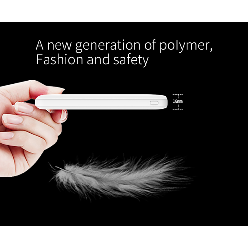 IPRO PD10A Charger Power Bank 10000mAh External Battery Pack Dual Output Port with LED Status Portable Charger Powerbank For Samsung Xiaomi mi Mobile Phone