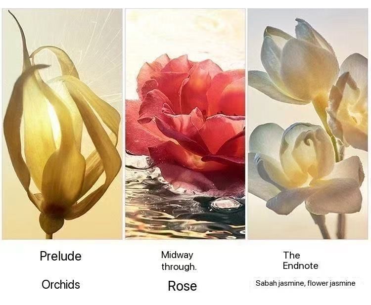 Authentic French perfume for women, long-lasting, light fragrance, fresh scent, 72 hours, exclusive, high-end, feminine, bedroom