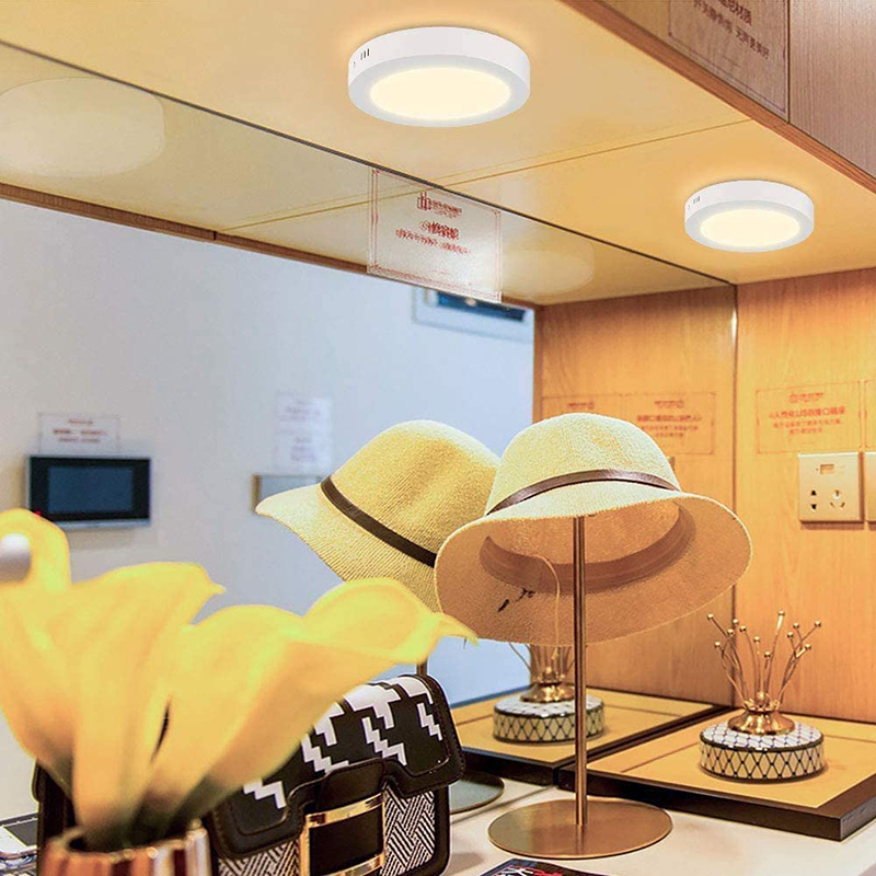 Leopard Cat LED Recessed Mount Panel Ceiling Light Fixtures - 6W 12W 18W 24W Tri-Color Dimming Flat Circular Surface Mount Downlight for Closet/Corridor/Staircase/Kitchen/Basement Lighting