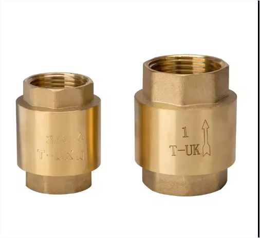 Vertical washer Brass check valve price Water Spring swing one way Check Valve
