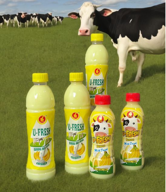 U-Fresh Carbonated ALL Flavors Soft Drink 220ml Juice Drink 