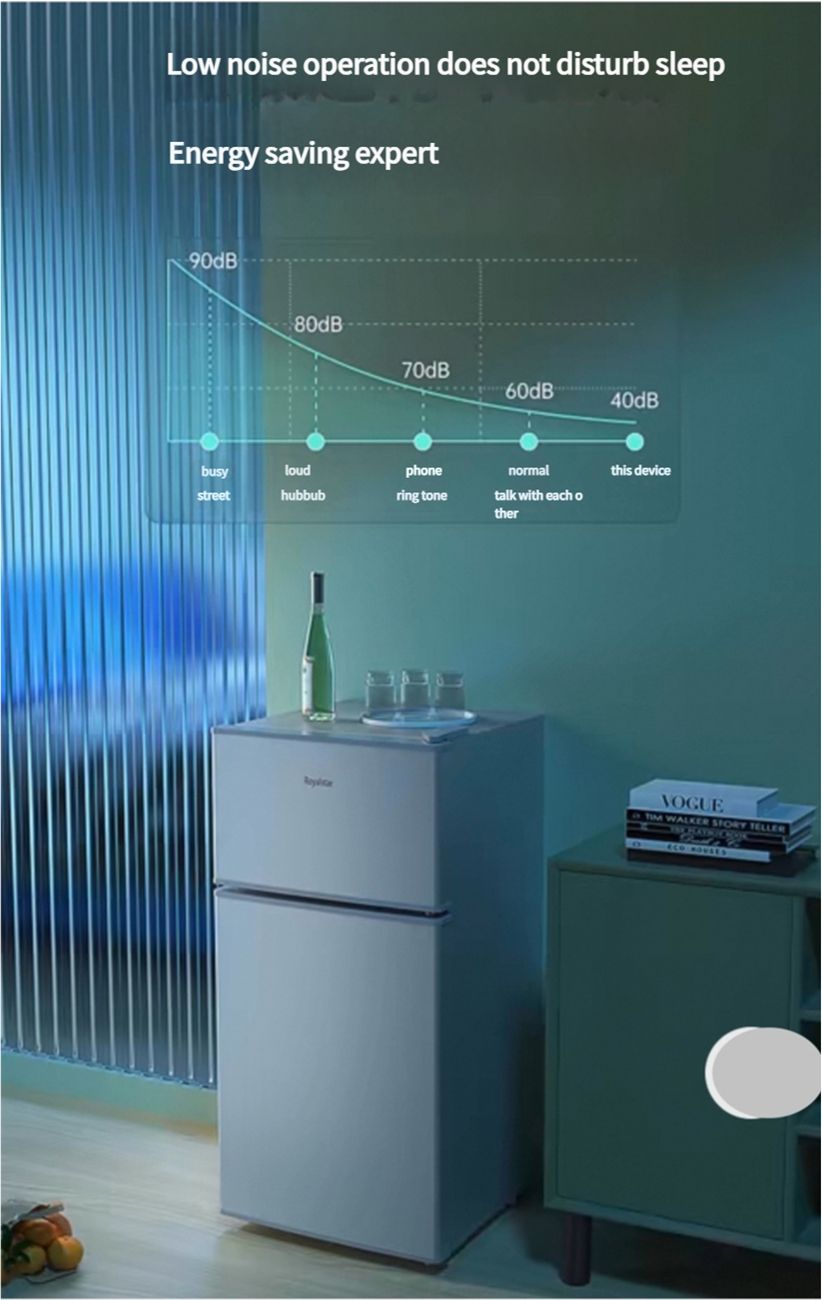 First level energy-saving Rongshida small refrigerator, household small rental room, dormitory, single person office, mini double door refrigerator