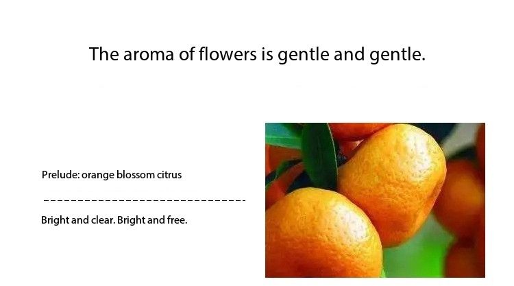 Small Town Yixiang Free Water Women's Perfume Floral Fragrance, Fresh and Long-lasting Eau de Toilette for Students