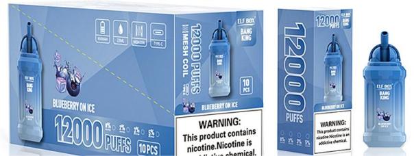 Randm Tornado Hot Selling ELF BOX BK 12000 PUFFS Elf Box 14000puffs with 10 Flavors 25ml Liquid Ecig Disposable Vape Pen