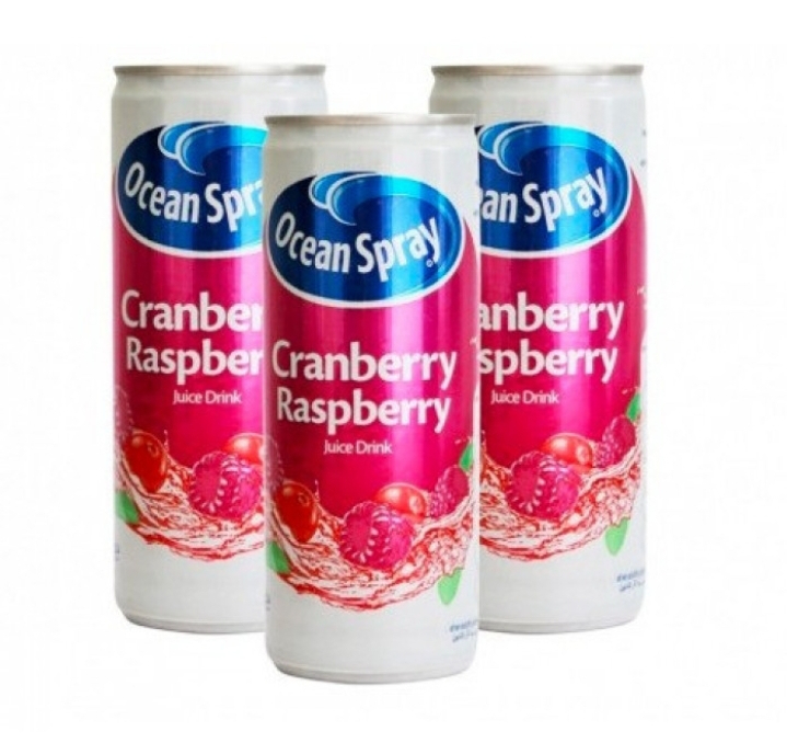 OCEAN SPRAY CANNED CRANBERRY JUICE 1L