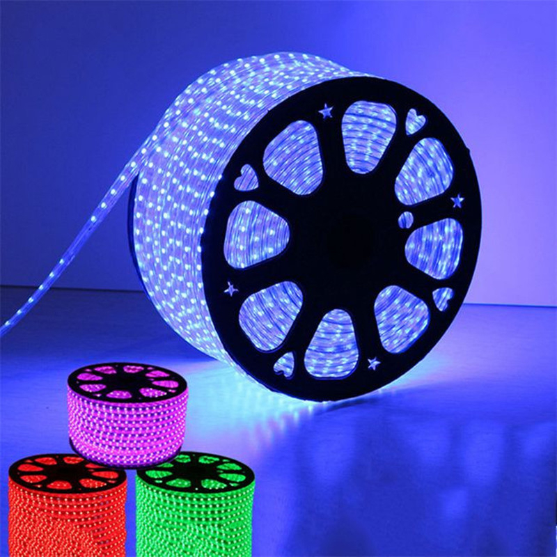 Leopard Cat Flexible 100M/volume LED RGB Rope Light Strip, Multi Color Changing 60PCS SMD 5050 LEDs, 220V AC, Dimmable, Waterproof, Indoor / Outdoor Rope Lighting + Remote Controller -100M roll IP67 Waterproof RGB Dual Color Rope lighting