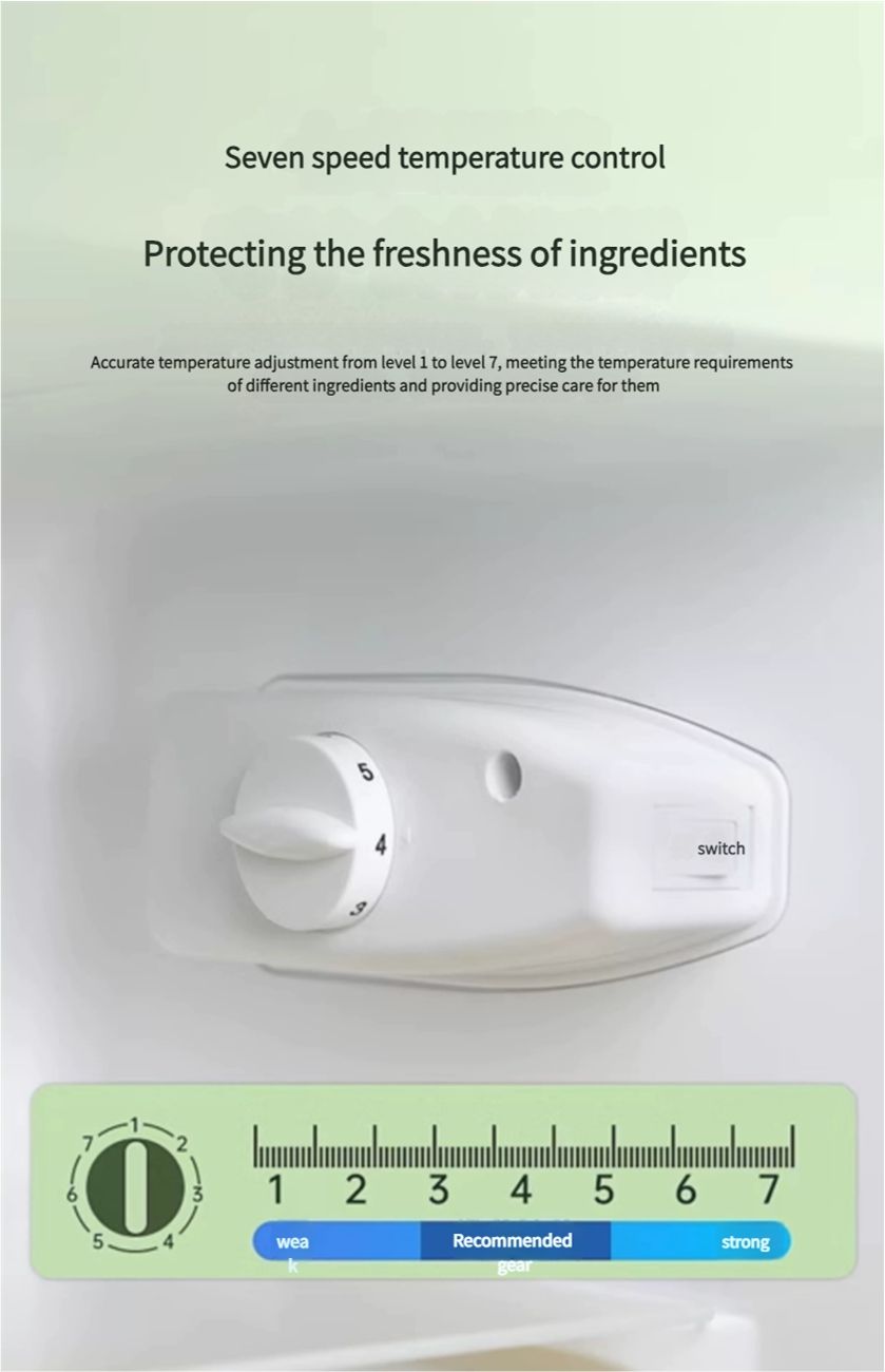 First level energy-saving Rongshida small refrigerator, household small rental room, dormitory, single person office, mini double door refrigerator