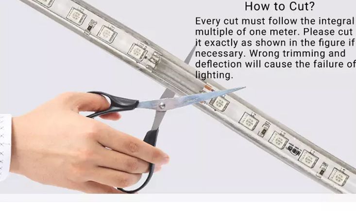 Leopard Cat 50M/Roll  white + Blue 2835 LED Strip Light 72 Lamp Beads 50Meters/Roll+2 pcs Controller Waterproof 1Pcs/Box