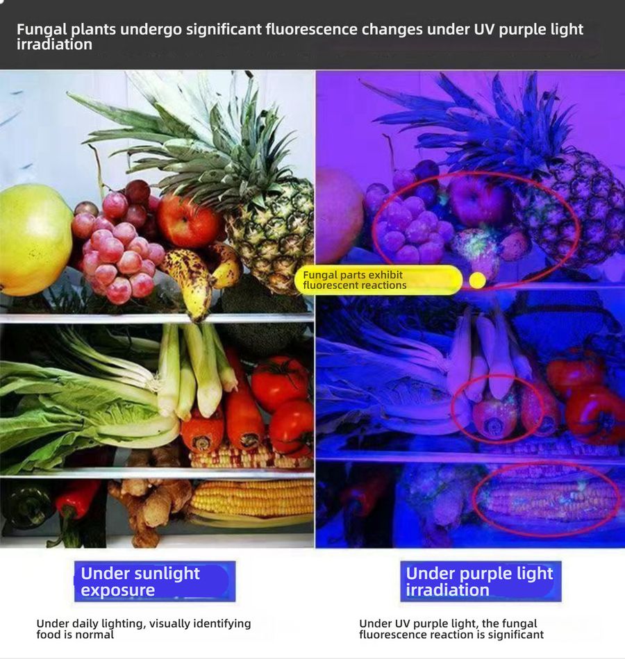 Aflatoxin Mycotoxin Fluorescent Agent Detector Pen 365nm UV Light for Food Safety