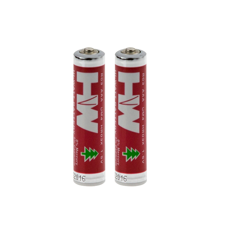 HW AAA Batteries Shrink Wrapping, Super Heavy Duty Power Carbon Zinc Triple A Battery Ideal for Household and Office Devices 2 Count(HR03X S2)