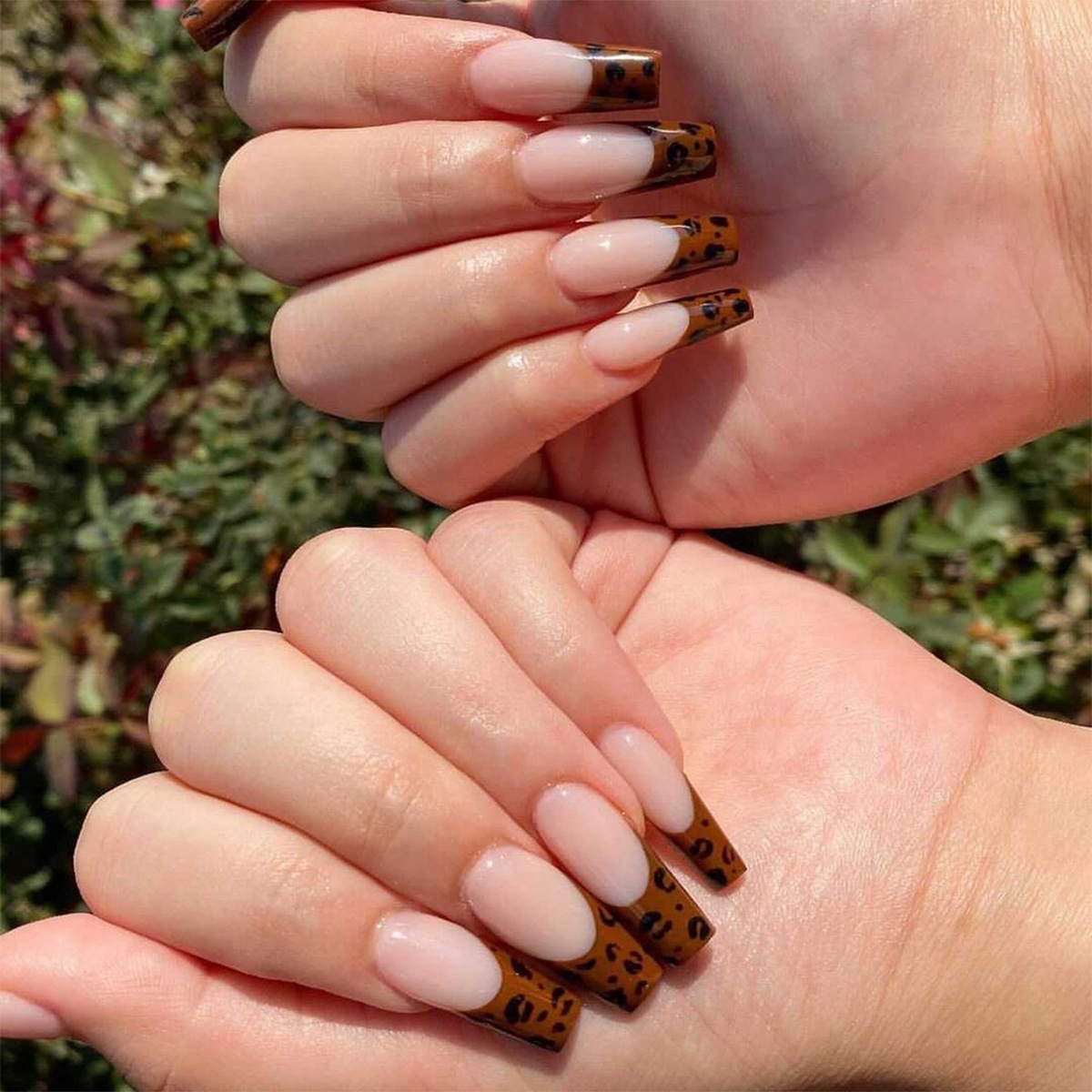 JP1089 Glossy Press on Nails, Super Long Coffin Nude Leopard Prints Brown French Style Fake Nails, Full Cover Artificial False Nails for Women and Girls
