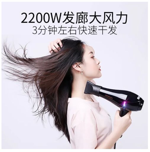 Confu KF-8953 2200W Ionic Portable Lightweight Travel 2-Speed Hairdryer Blower