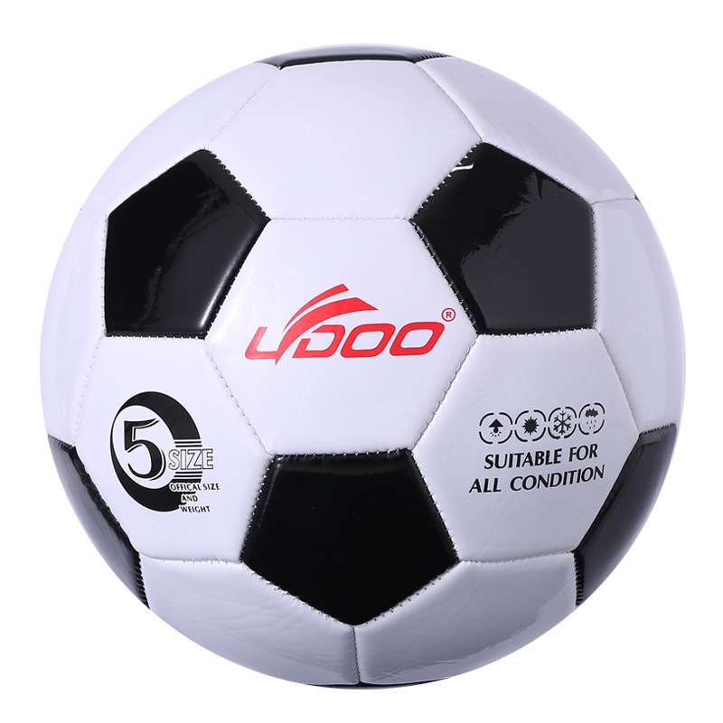 2022031917 Metre Leather Football With Free Referee - Size 5