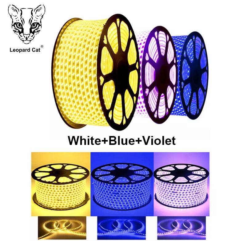 Leopard Cat 50M/100M Roll White + Blue + Violet 2835 LED Strip Light 72 Lamp Beads 50/100M Meters/Roll+2pcs Controller Waterproof