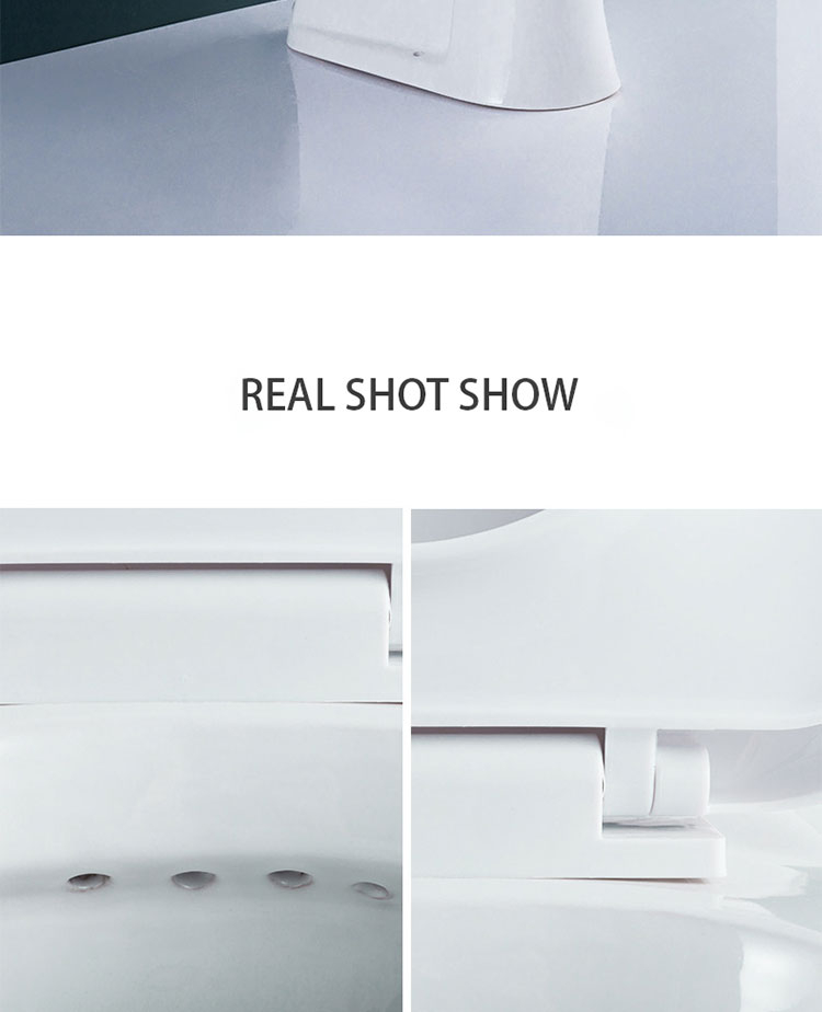 No. 650 Dual Flush Two-Piece Elongated Toilet with Comfort Seat Height, Soft Close Seat Cover, High-Efficiency Supply, and White Finish Toilet Bowl