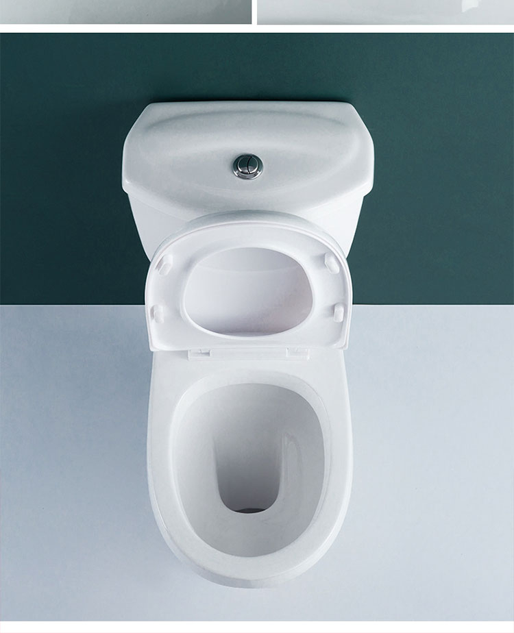No. 650 Dual Flush Two-Piece Elongated Toilet with Comfort Seat Height, Soft Close Seat Cover, High-Efficiency Supply, and White Finish Toilet Bowl