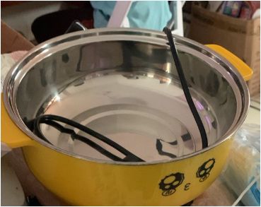 ELECTRIC POT