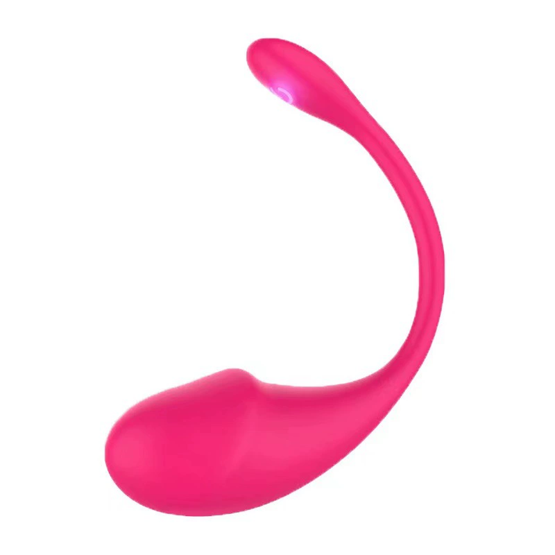 Long Distance Remote Controlled G-spot Stimulator Egg Vibrators Bluetooth Adult Sex Toys & Games Powerful Vibrations for Women