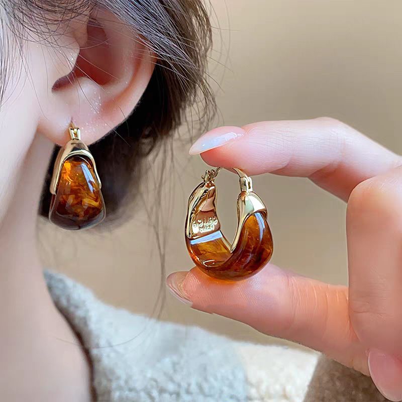 Earring Luxury Premium Feel earrings CRRSHOP Simple fashionable earrings