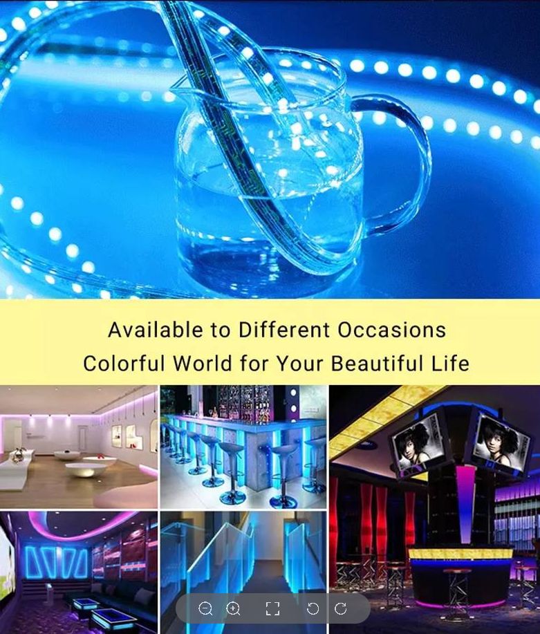 Leopard Cat 50M/100M Roll White + Blue + Violet 2835 LED Strip Light 72 Lamp Beads 50/100M Meters/Roll+2pcs Controller Waterproof