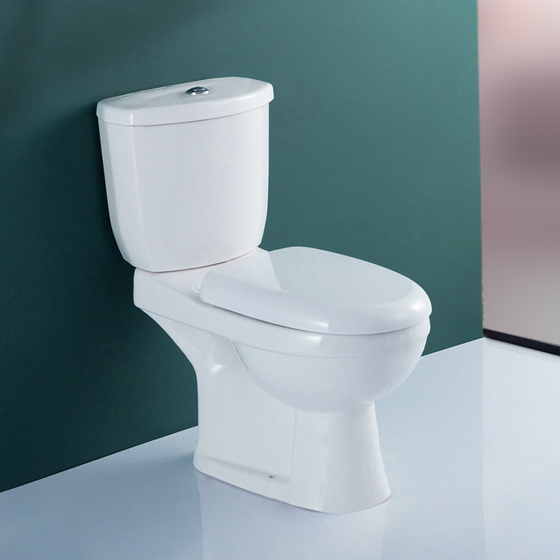 No. 650 Dual Flush Two-Piece Elongated Toilet with Comfort Seat Height, Soft Close Seat Cover, High-Efficiency Supply, and White Finish Toilet Bowl