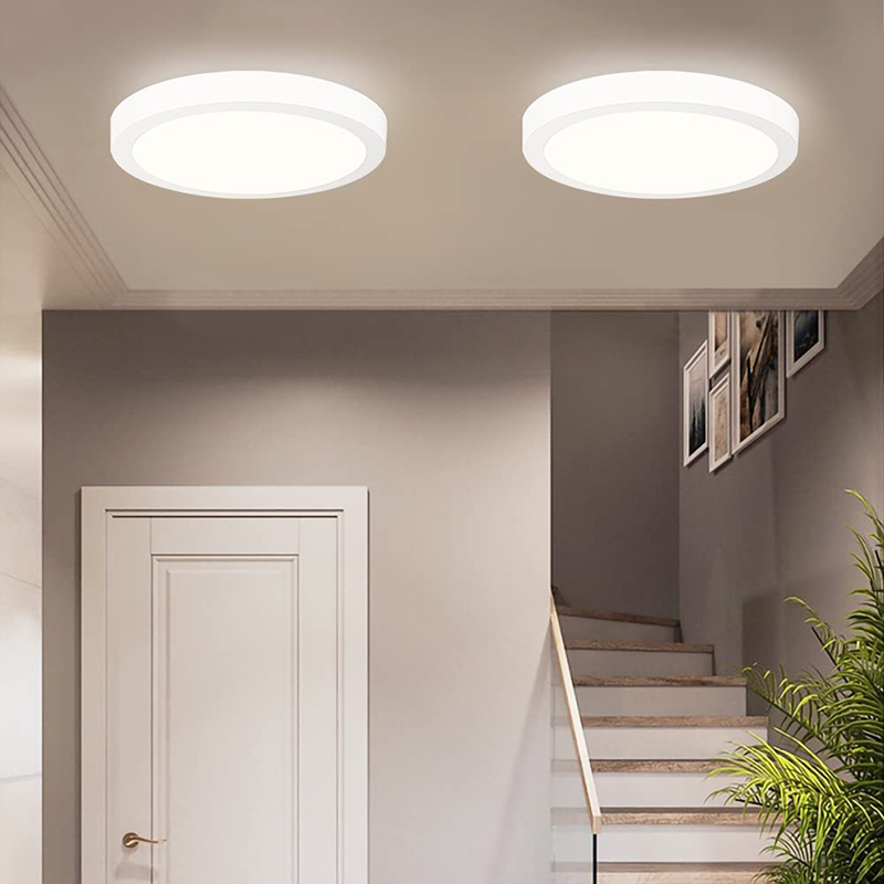 Leopard Cat LED Recessed Mount Panel Ceiling Light Fixtures - 6W 12W 18W 24W Tri-Color Dimming Flat Circular Surface Mount Downlight for Closet/Corridor/Staircase/Kitchen/Basement Lighting