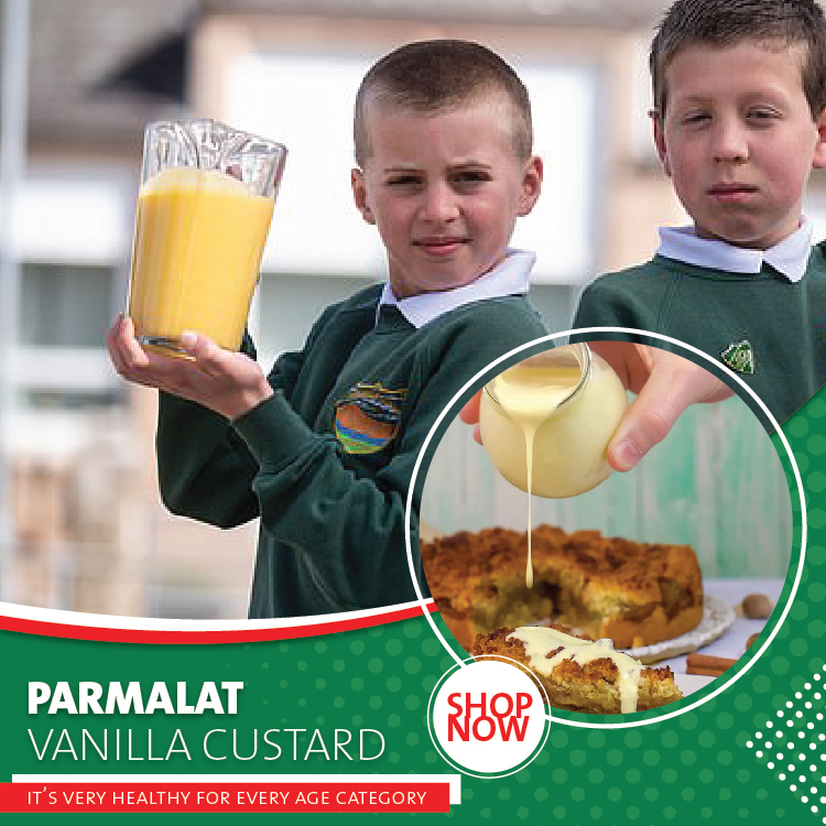 Parmalat Vanilla Flavored Custard-500ml