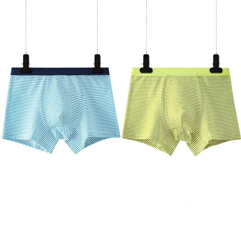 2pcs/lot Green Boy Underwear Boxer All Seasons Boy Cotton Underpanties Kids Clothes 3 4 6 8 10 12 14 Years Old