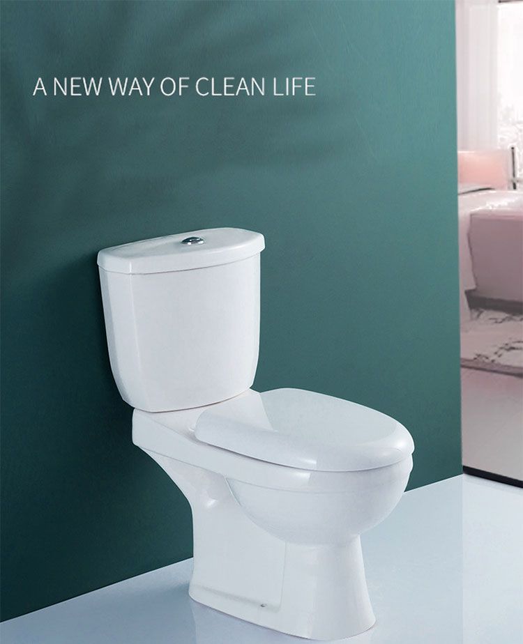 No. 650 Dual Flush Two-Piece Elongated Toilet with Comfort Seat Height, Soft Close Seat Cover, High-Efficiency Supply, and White Finish Toilet Bowl