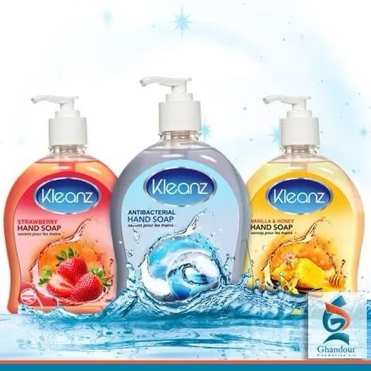 Kleanz Hand Soap 300ml
