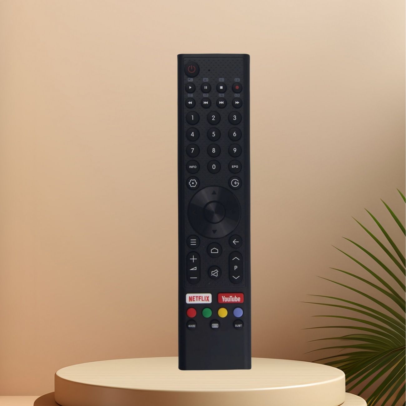 Changhong TV remote control