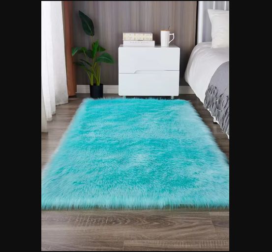 Soft Shaggy Rug Carpet Mat Super Soft Indoor Modern Rugs Fluffy Rugs, Anti-Skid Washable Shaggy Area Rug,50*150