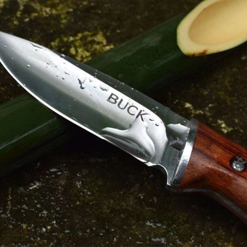 Buck Warrior's Knife Portable Diving Straight Knife Wilderness Survival Small Knife Tactical Swiss Army Knife