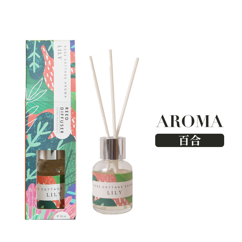 RD-770 30ML Aroma Diffuser Set Rattan Sticks Purifying Air Office DIY ...