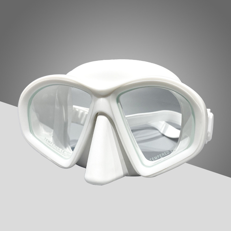 166-1 Mens Womens Anti-fog Diving Snorkeling Mask Two-window